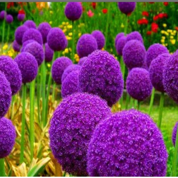 ‼️SOLD‼️Japanese Cast Iron Teapot with Keep Hot Tea Light Base Removable Trivet - Picture 15 of 15